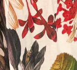 Clairemont Dress - Lily Floral