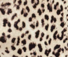 Eros Shirt - Leopard