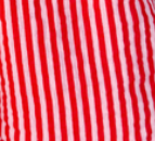 Rani Shorts - Pink Red Stripe